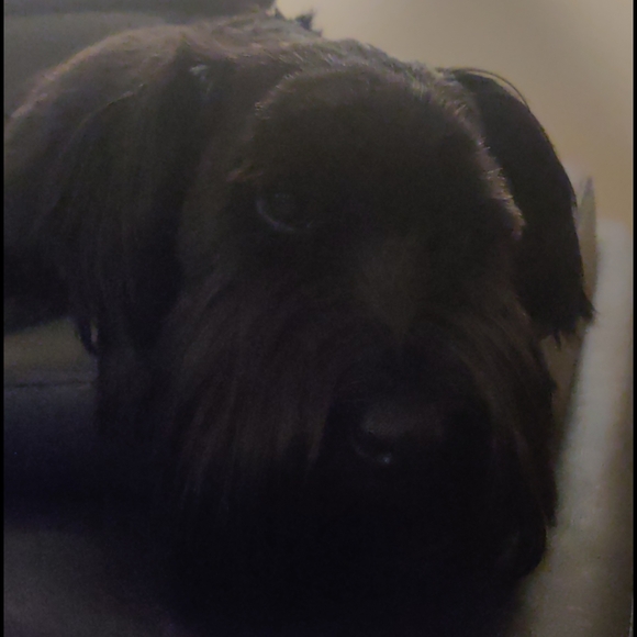 Meet your Posher, Sonja - Picture 1 of 2